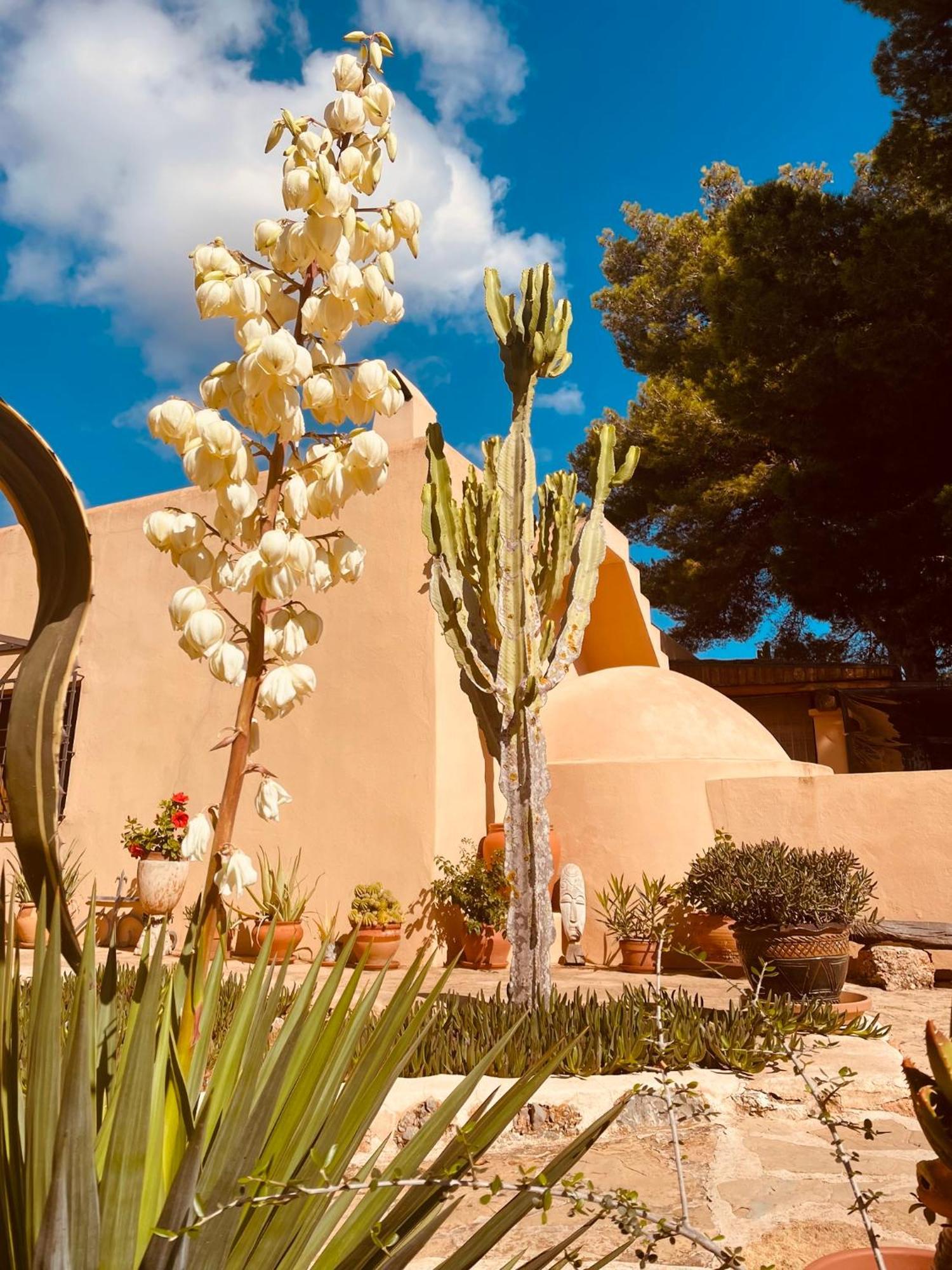 Finca Can Toni Sant Jordi de ses Salines Exterior photo